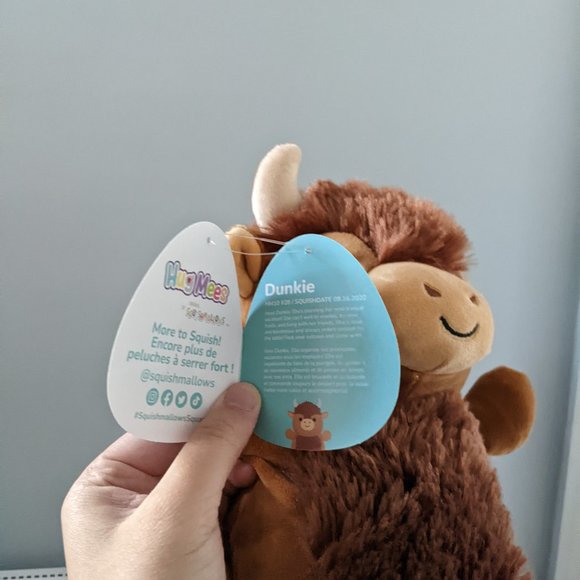 10” Dunkie Bison Squishmallow Hugmee - Picture 5 of 5